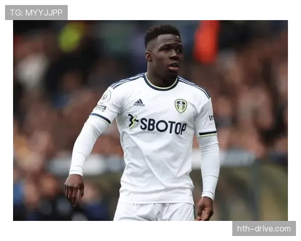 利兹联明星球员再创佳绩,球队状态回暖引关注 利兹联明星球员再创佳绩,球队状态回暖引关注