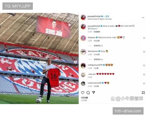 帕利尼亚葡萄牙国家队主力后腰地位解析 帕利尼亚葡萄牙国家队主力后腰地位解析